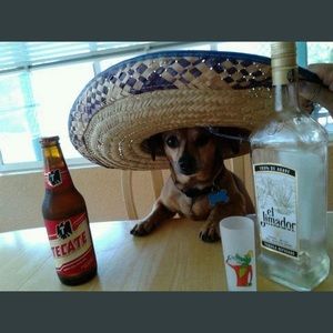 Meet your Posher, Wes